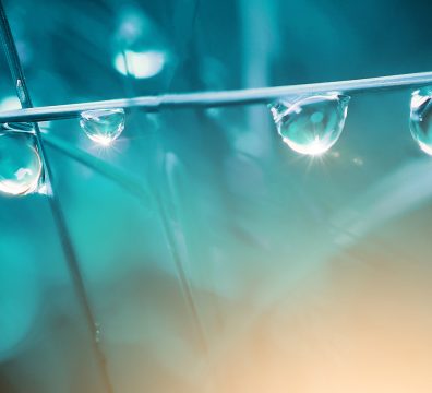 Aquaporiner er naturens måde at rense vand